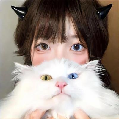 留给吾爱的日记